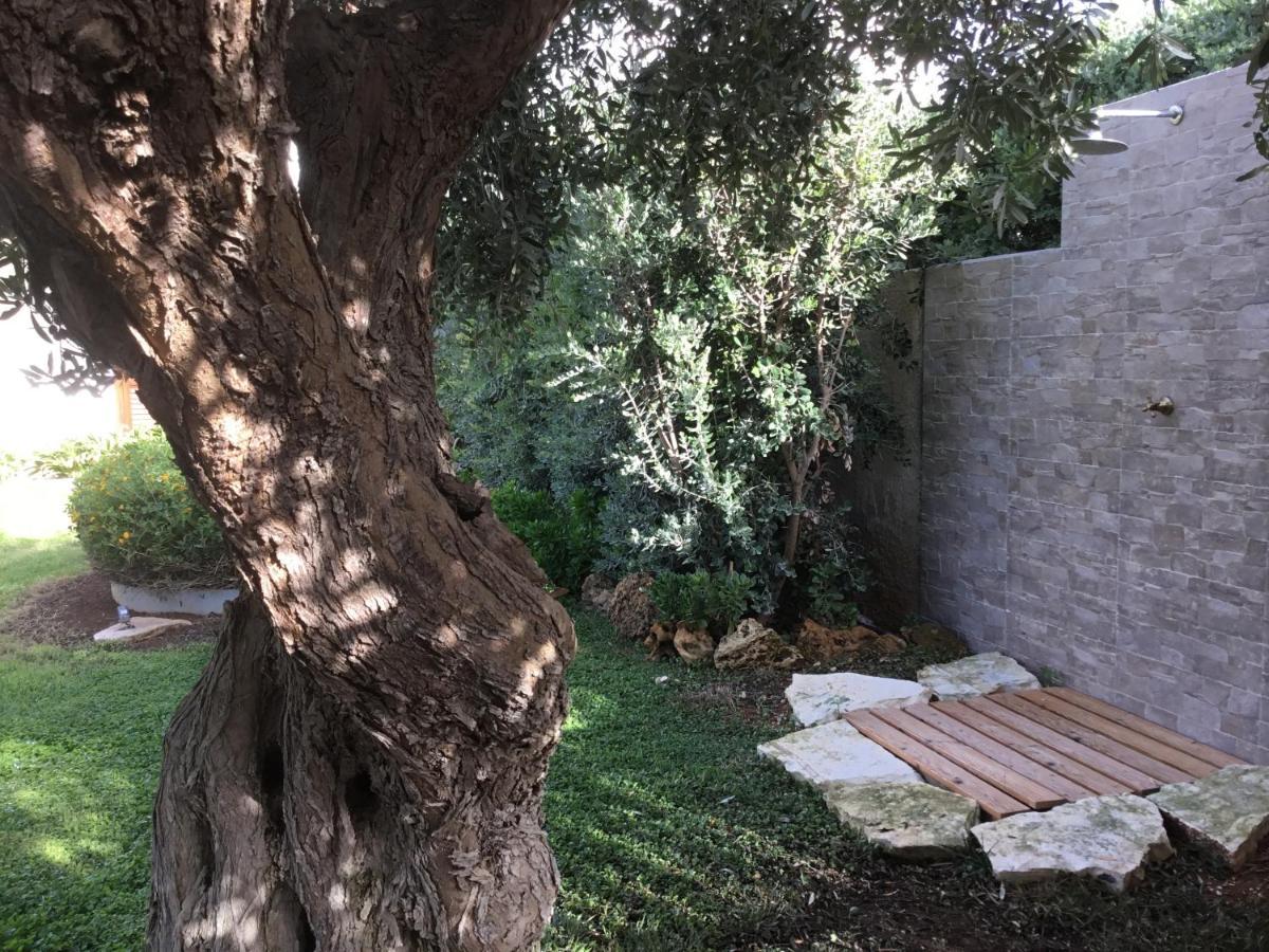 Birgi Holiday Home مارسالا المظهر الخارجي الصورة